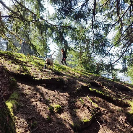 Apartment Sonnen-juwel - Hallenbad-sauna-2 Getrennte Schlafbereiche-direkt An Der Skipiste